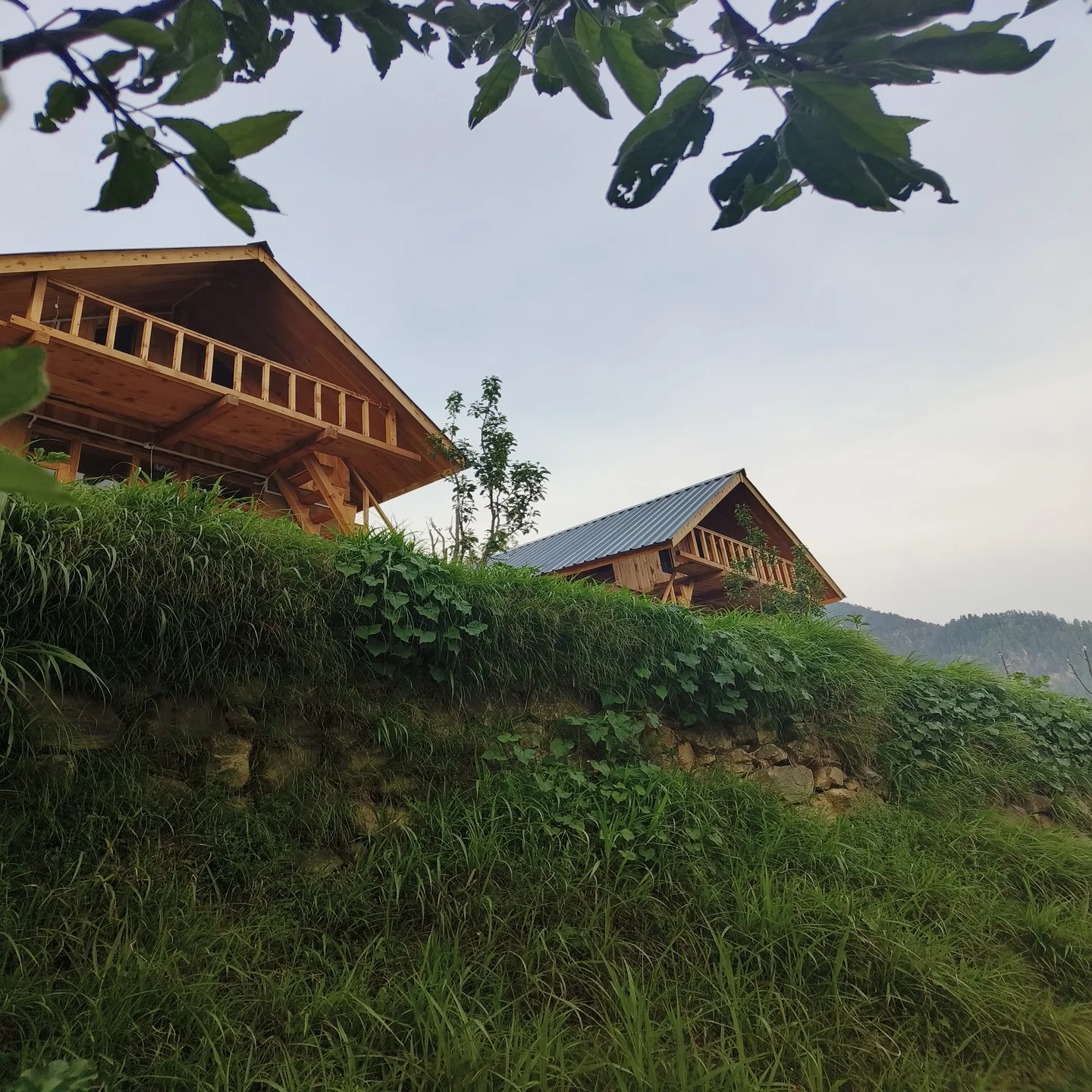 Deep In wood cottage