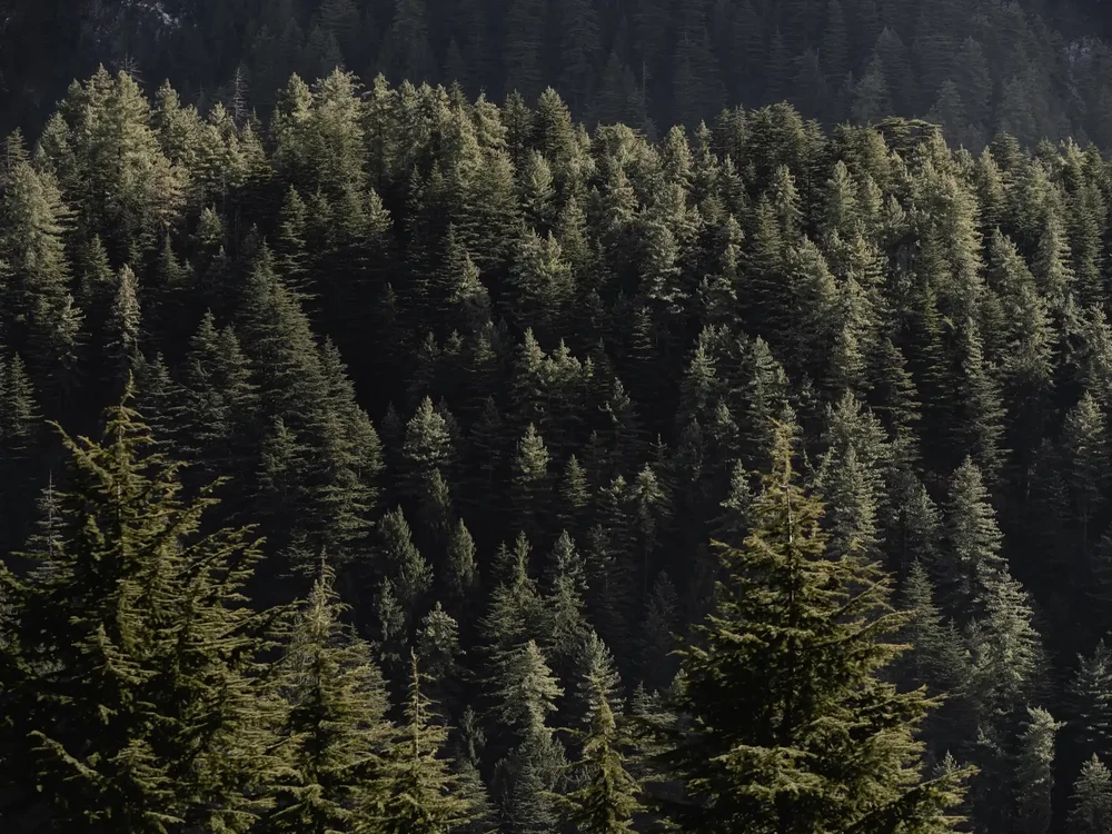Himalayan range